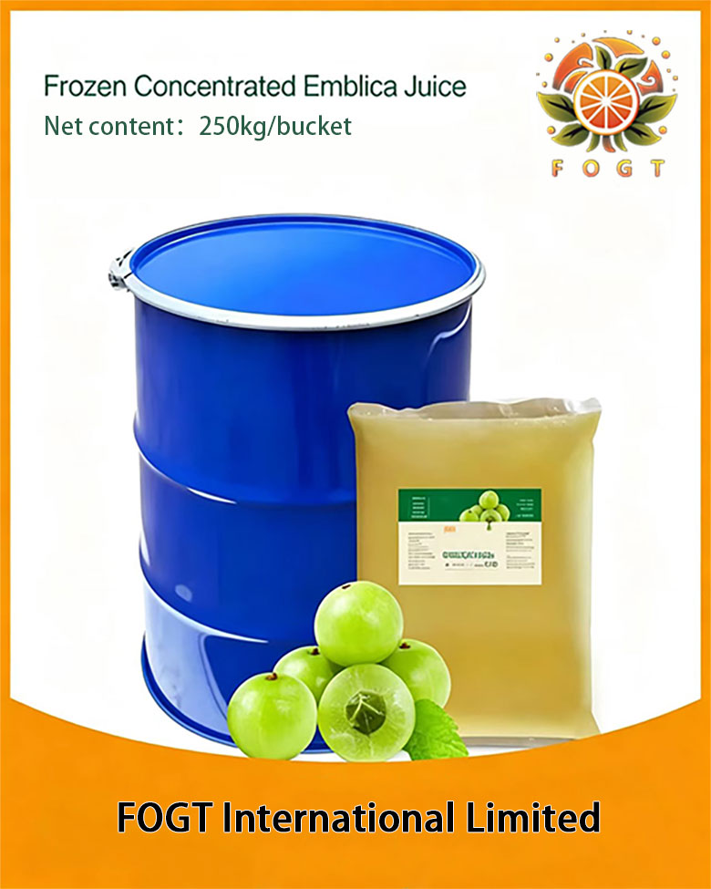 Frozen Concentrated Emblica Juice